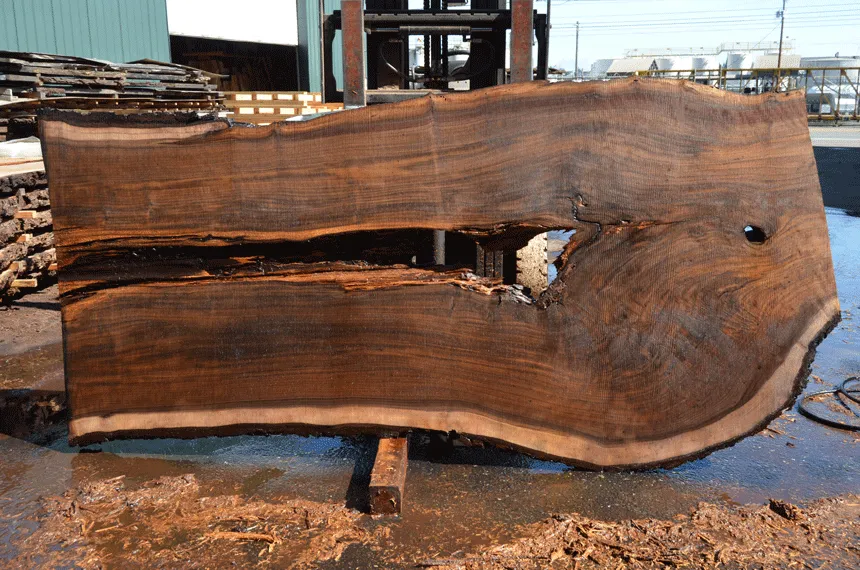 Oregon Black Walnut Slab 040721-07