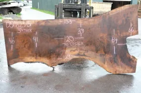 Oregon Black Walnut Slab 050623-05