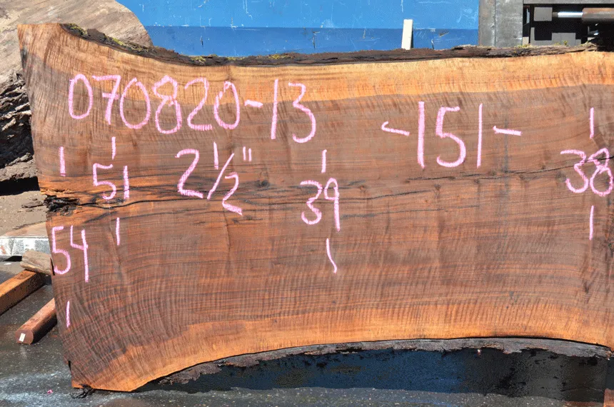 Oregon Black Walnut Slab 070820-13